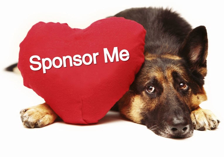 Sponsor a Pet - Animal Rescue of the Rockies