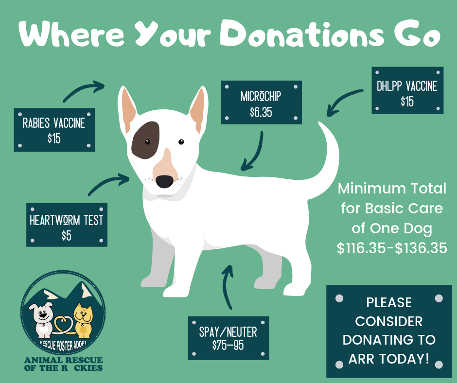 where to take stuffed animal donations