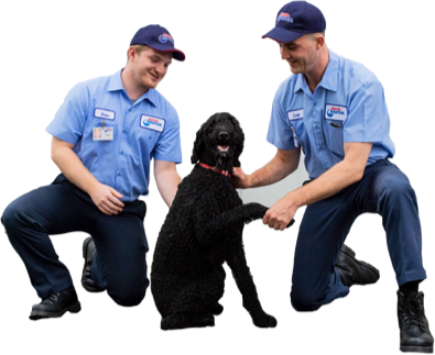 Roto-Rooter Pet Rescue