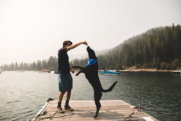 https://arrcolorado.org/wp-content/uploads/2021/06/Dog-on-deck.jpg