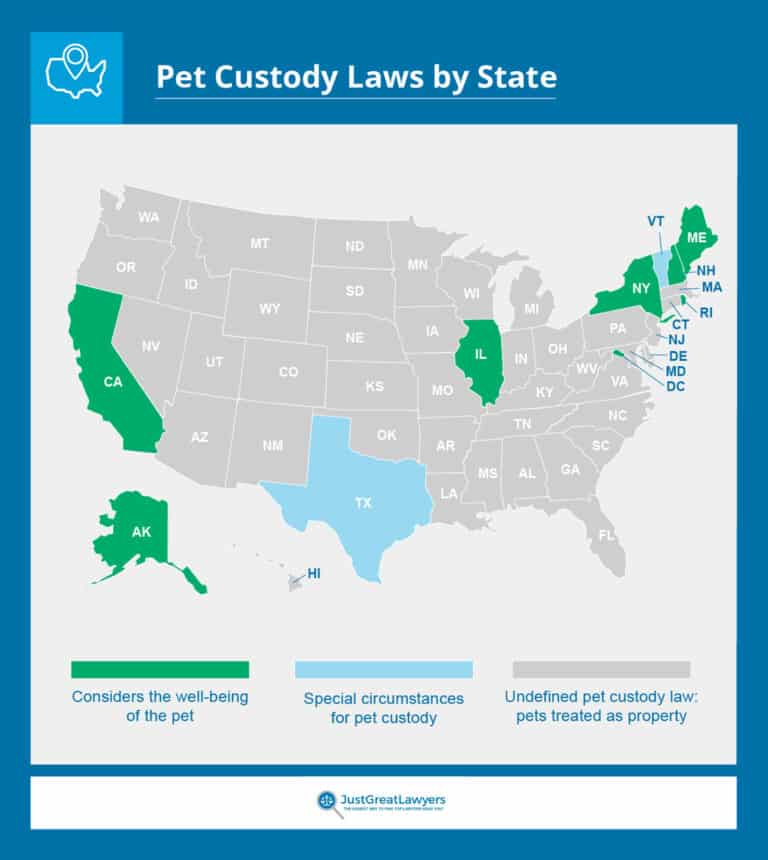 map of pet custody laws by state