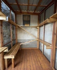 Interior view of a catio cat enclosure with wooden benches and ramps