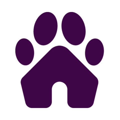 Adoptable Pets on PetPlace