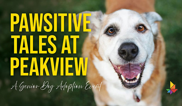 Positive Tails At Peakview