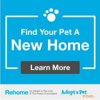 rehome - adopt-a-pet
